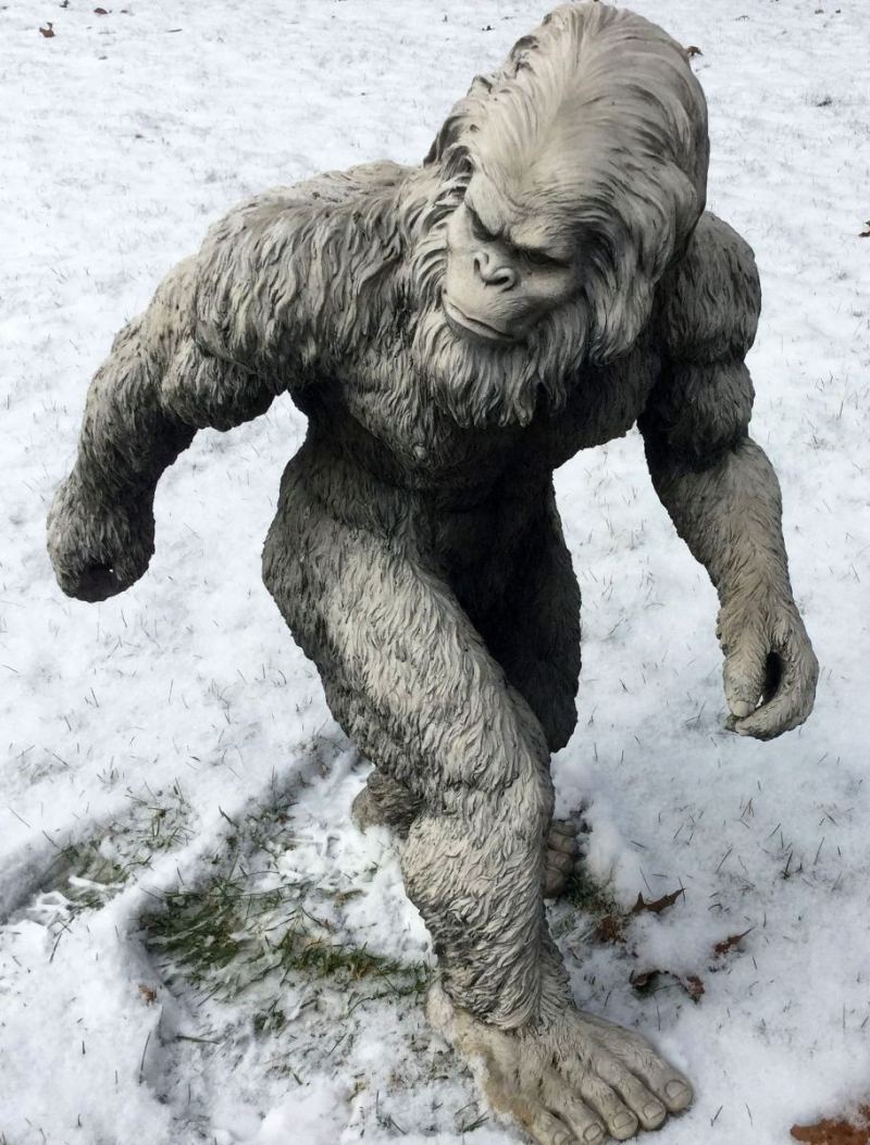 The Truth Is Out There: FBI Releases Bigfoot Documents