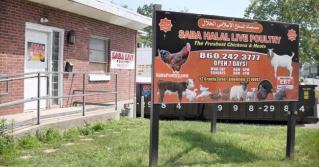 WATCH As “They” Slaughter A Cow In A Home Depot Parking Lot After Escaping Halal Market [Video]