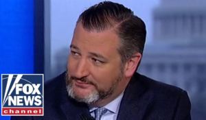 Ted Cruz Drops a Bombshell: Democrats to ‘Parachute’ Dangerous Candidate into 2024 Race