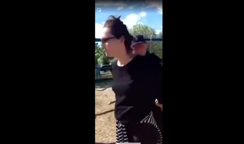 NEVER AGAIN! Mother Arrested In Front Of Her Children For Letting Them Play At Park (VIDEO)