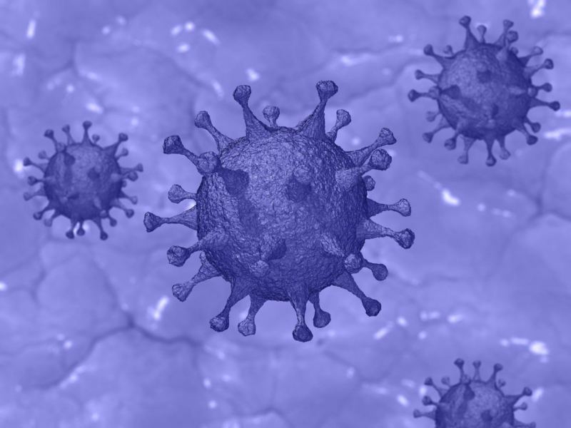 New Study Reveals Understanding of COVID Immunity After Infection