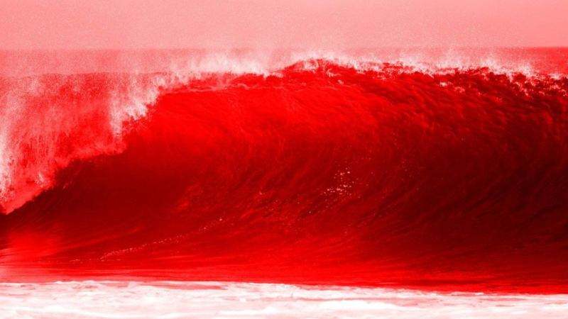 BOOM! Red Tsunami is Coming to America, Trump Gaining Massive Support in These States