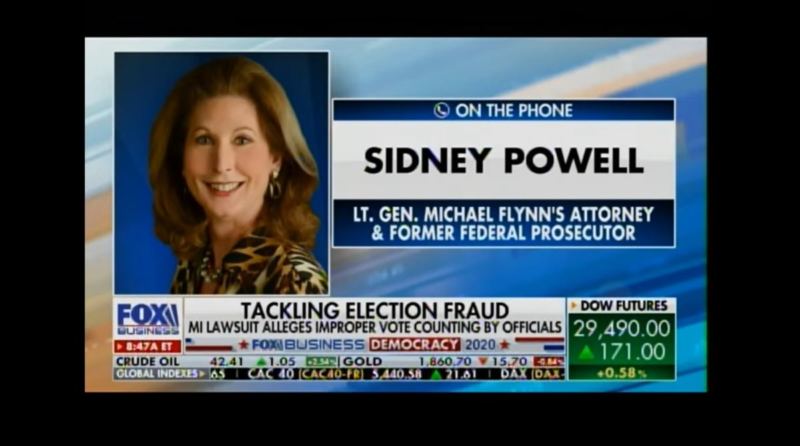 Sidney Powell Give Simple Breakdown of Evidence in Election Fraud