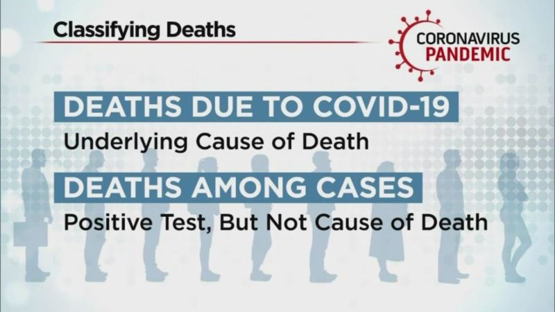 Nearly Half of COVID Deaths in Colorado County Were Not From Virus At All (VIDEO)