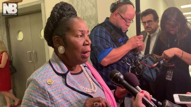 Rep. Sheila Jackson Lee Insults Our Intelligence and Lies About Border Crisis