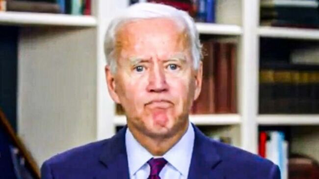 OUCH! Audit Finds Half of Joe Biden’s Twitter Followers are FAKE!