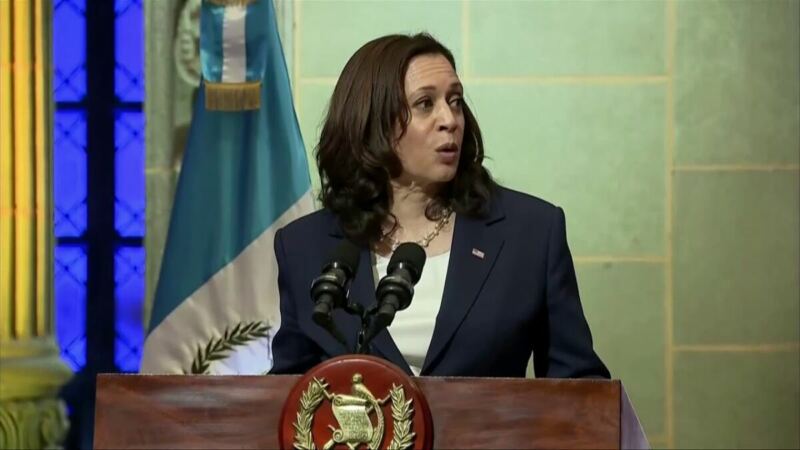 Kamala Harris Tells Liberals to Knock on Doors and Harass People Who Haven’t Been Vaccinated (VIDEO)