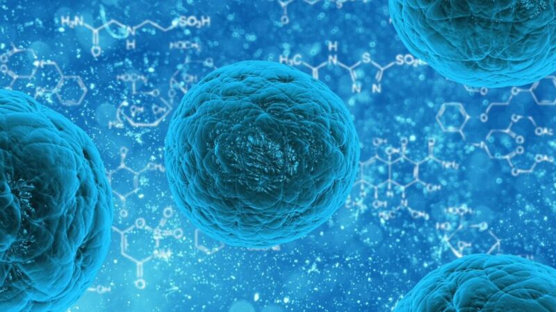 Miracle Drug Eliminates Cancer at 100% Success Rate in New Trial