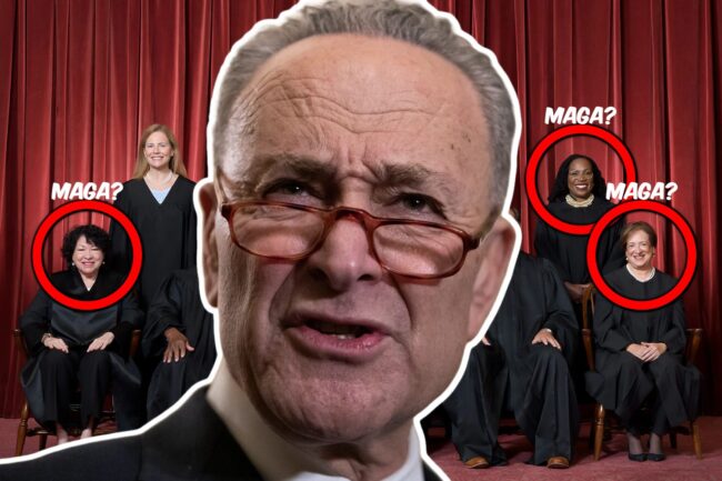 WHAT!? Chuck Schumer Slams ‘MAGA Supreme Court’ After Unanimous Decision