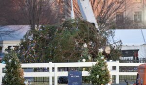 Biden’s White House Christmas Tree Hilariously Falls Down