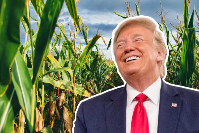 Nebraska Farmer Pays Homage to Trump with 80 Acre Portrait