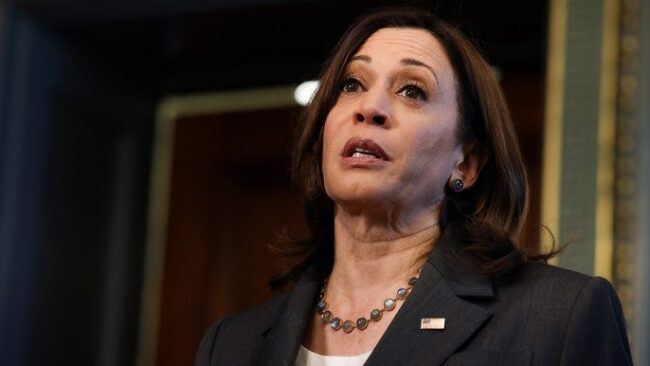 Kamala’s Team Answers Questions About Policy