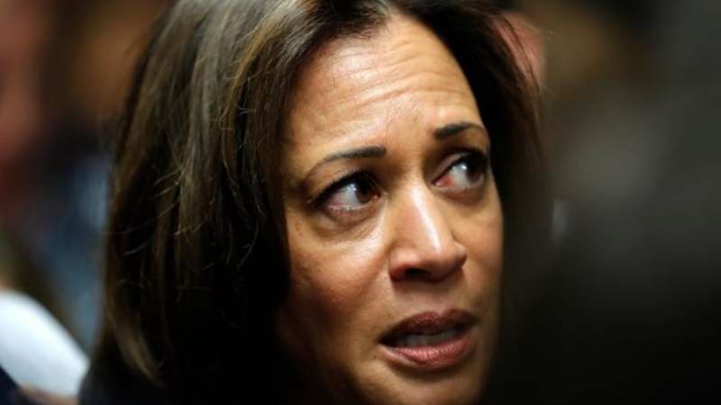 Kamala Addresses Bipartisan Bill