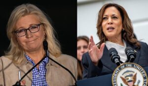 Cheney comments On Kamala